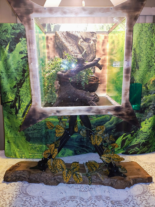 Terraform Understory