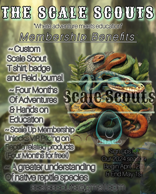 Scale Scout Membership