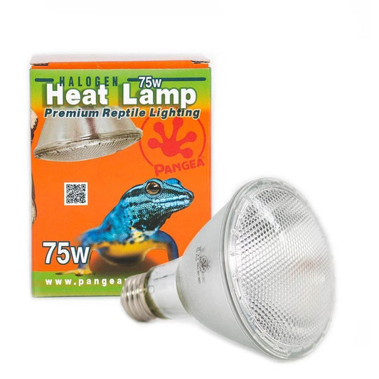 75w Halogen Heat Lamp
