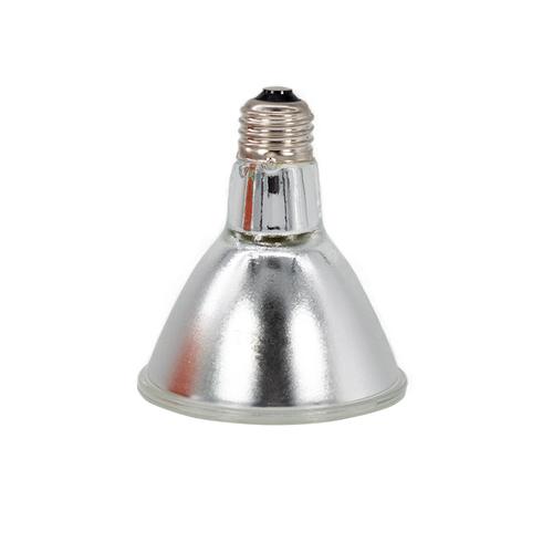 75w Halogen Heat Lamp