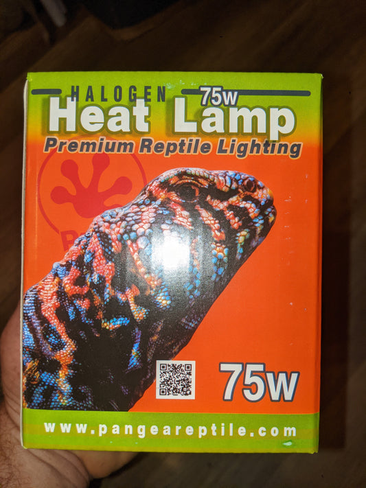75w Halogen Heat Lamp