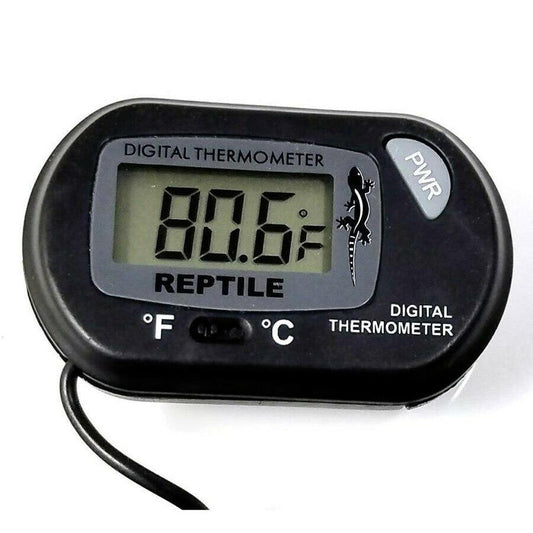 Digital Thermometer